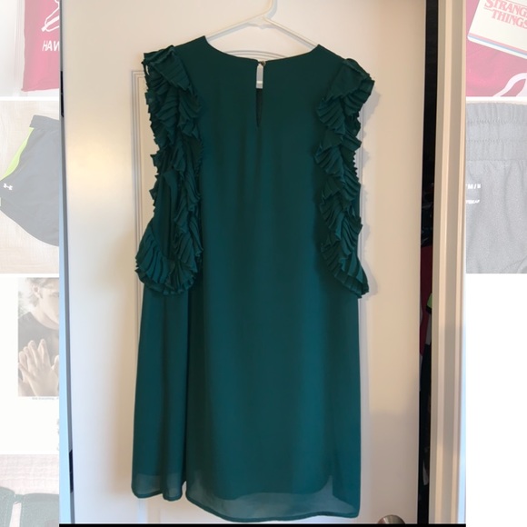 Lulu’s green dress - Picture 2 of 3